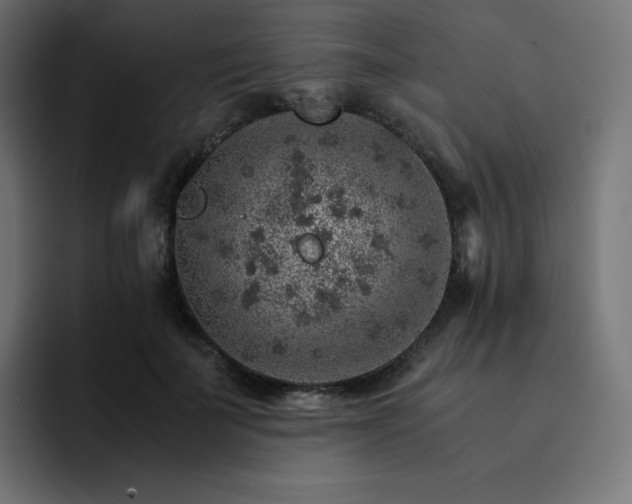 X0000093150699200710101136
