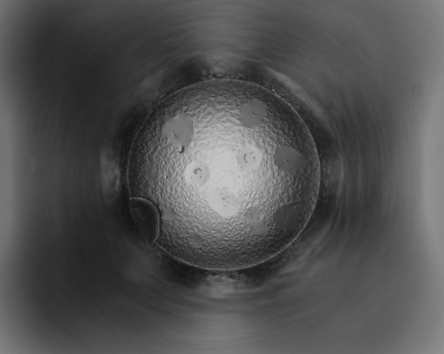 X0000093150703200710101135