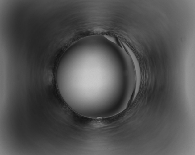 X0000093150704200710101135