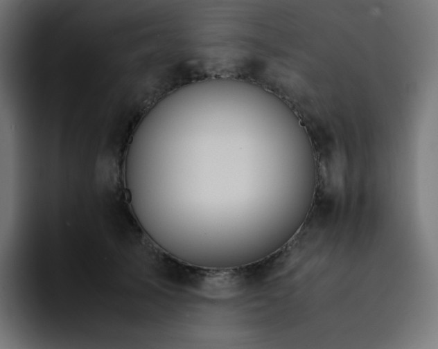 X0000093150705200710101135