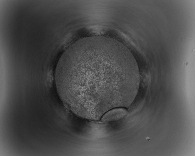 X0000093150707200710101135