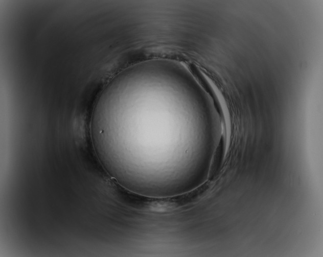 X0000093150708200710101135