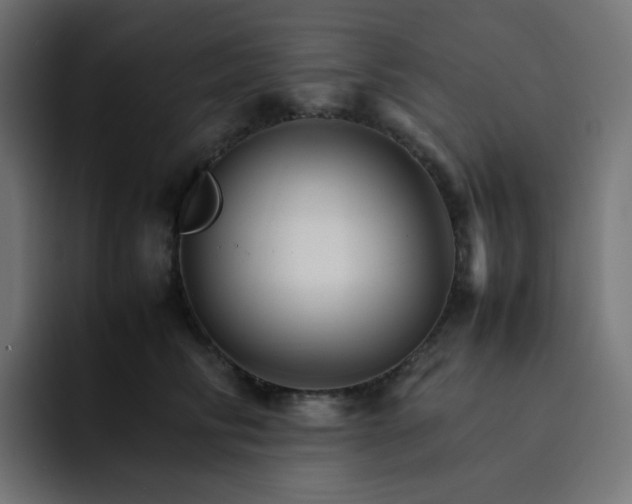 X0000093150710200710101135