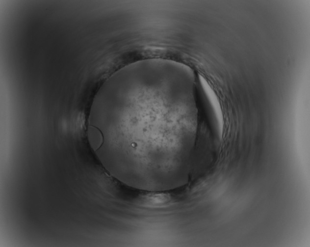X0000093150711200710101135