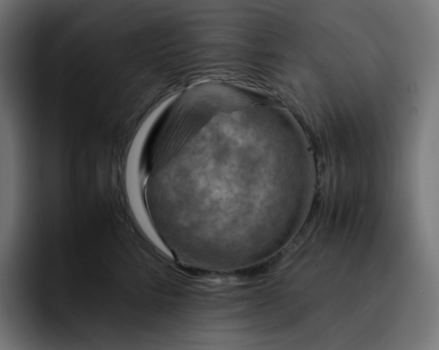 X0000093150712200710101135