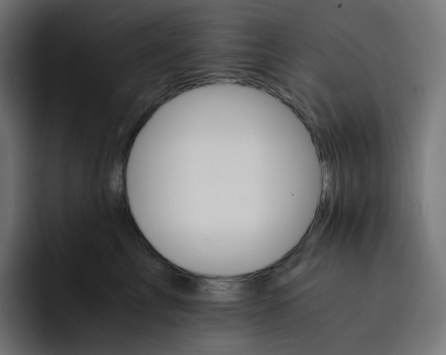 X0000093150713200710101135