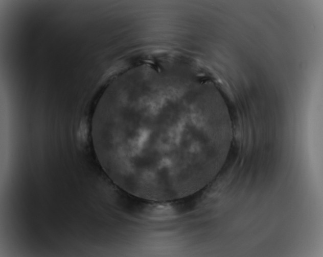 X0000093150715200710101135