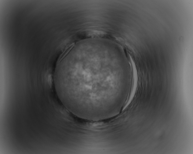 X0000093150716200710101135