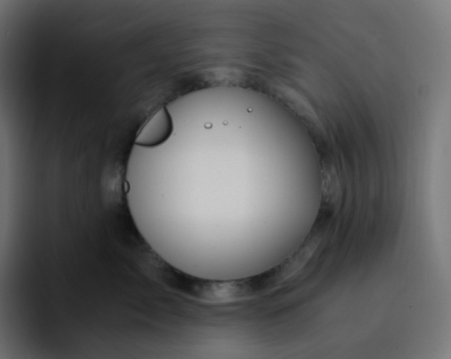 X0000093150717200710101135