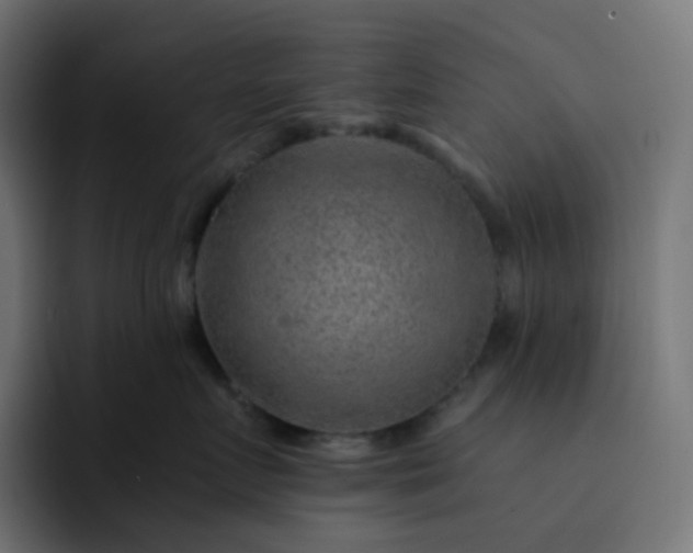 X0000093150719200710101135