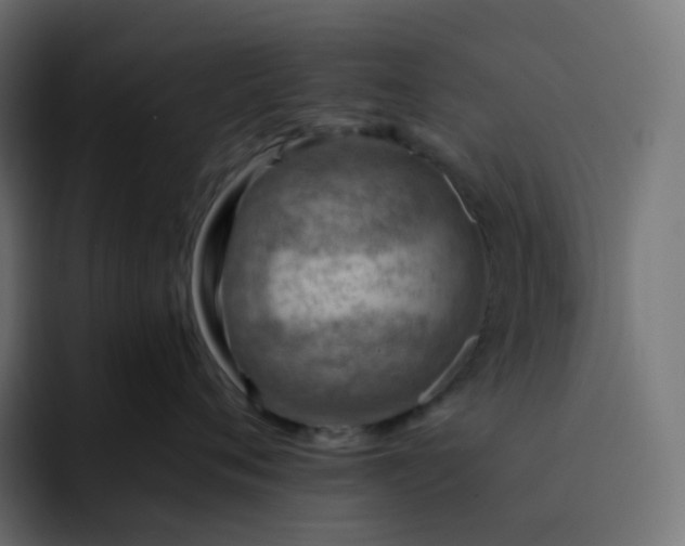 X0000093150720200710101135