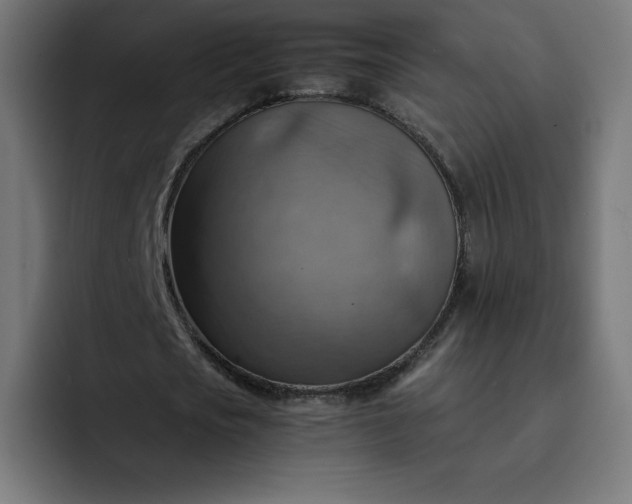 X0000093150721200710101135