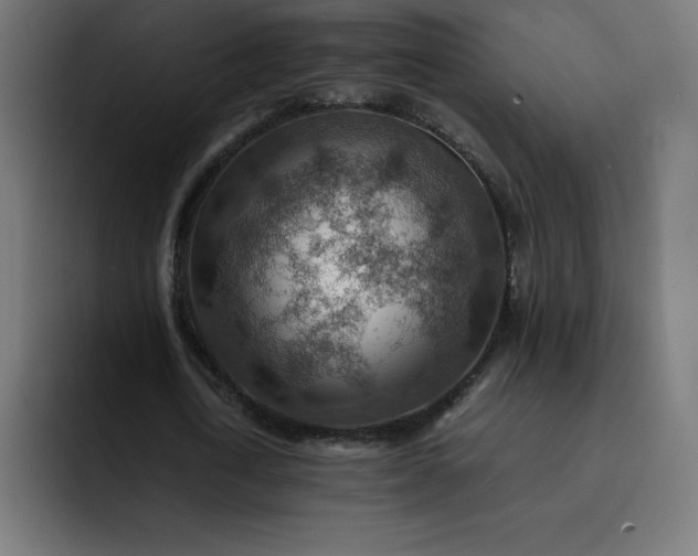 X0000093150722200710101135