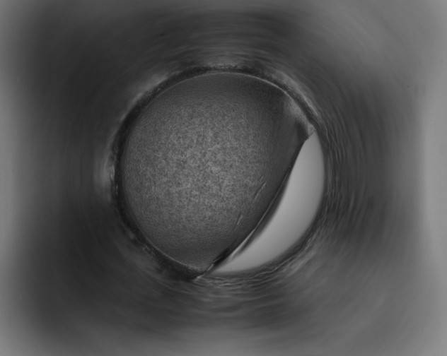 X0000093150723200710101135