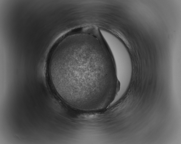 X0000093150724200710101135