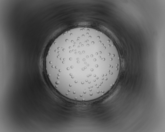 X0000093150725200710101135