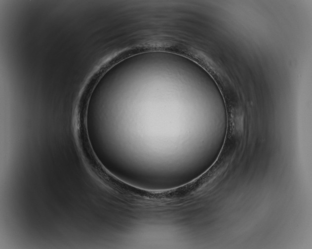 X0000093150726200710101135
