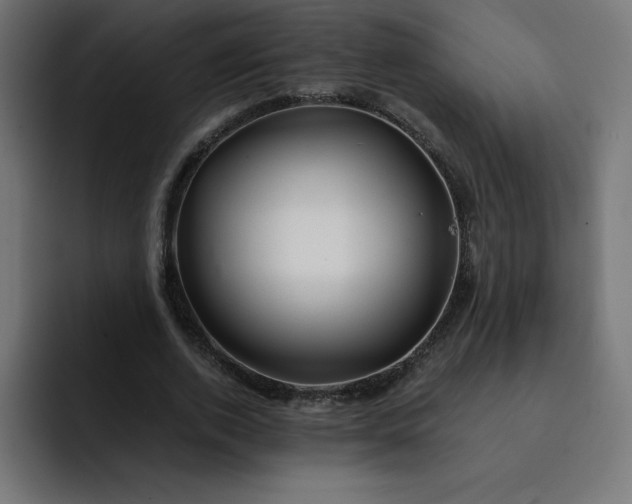 X0000093150728200710101135