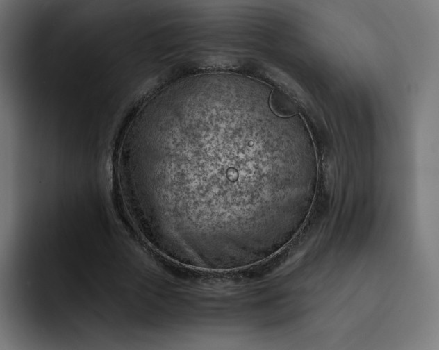 X0000093150729200710101135