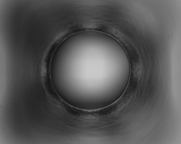 X0000093150731200710101135