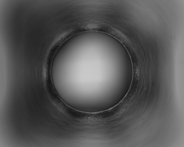 X0000093150732200710101135