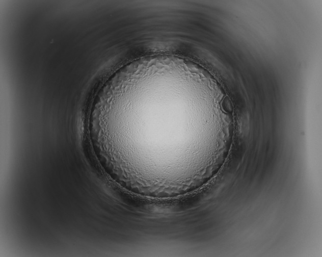 X0000093150733200710101135