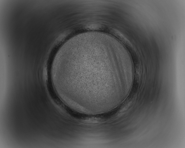 X0000093150734200710101135
