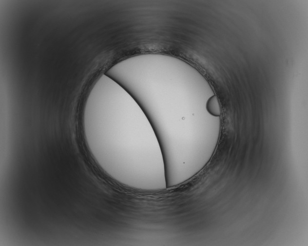 X0000093150738200710101135