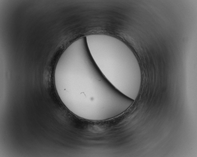 X0000093150739200710101135