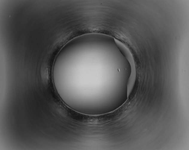 X0000093150740200710101135