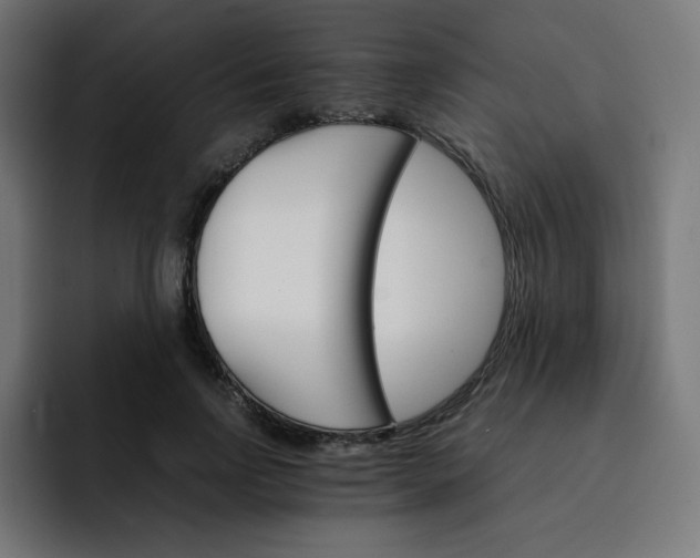 X0000093150742200710101135