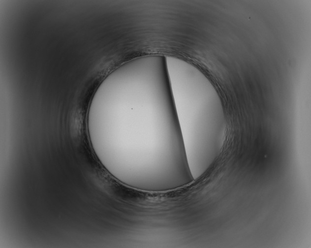 X0000093150744200710101135