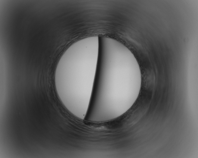 X0000093150747200710101135