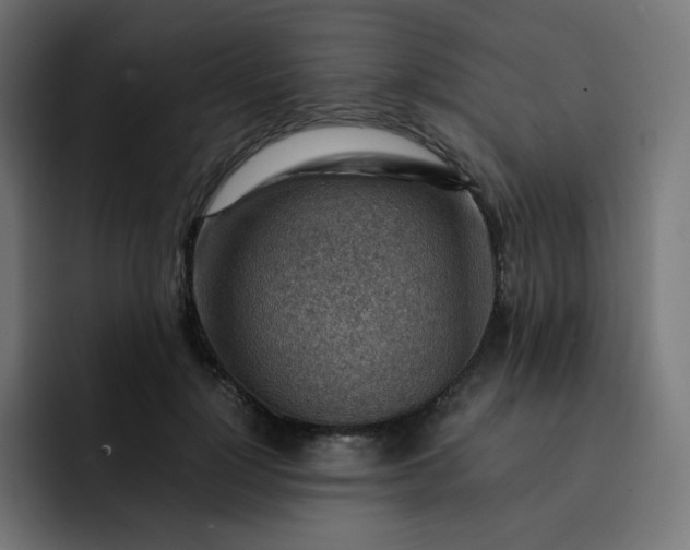 X0000093150748200710101135