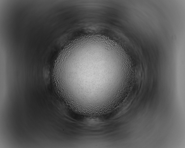 X0000093150749200710101135