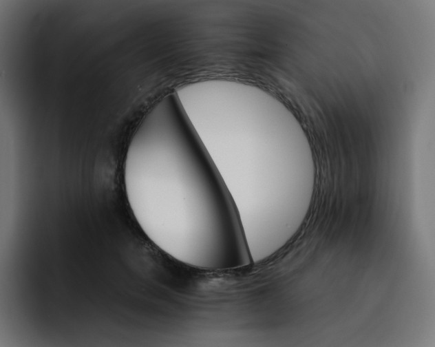 X0000093150750200710101135