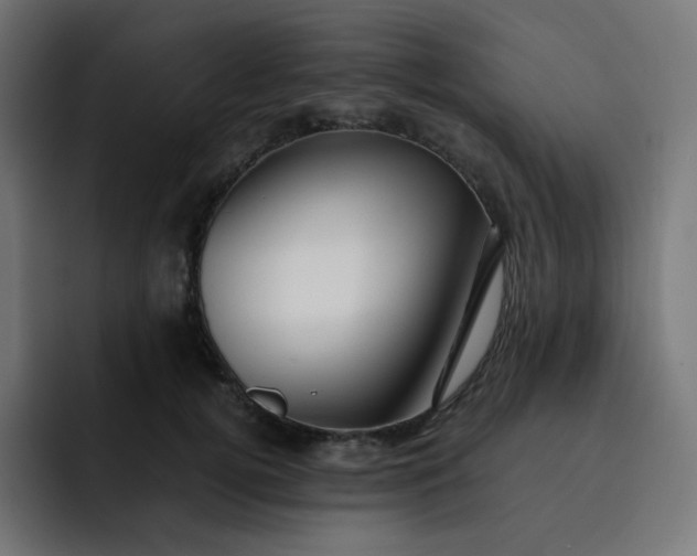 X0000093150752200710101135
