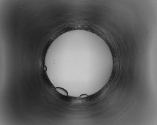 X0000093150754200710101135