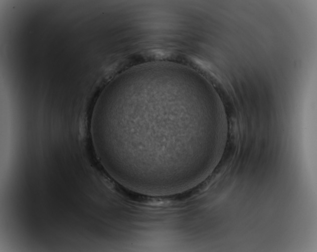 X0000093150760200710101135
