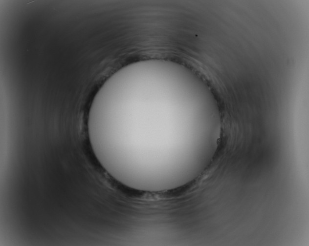 X0000093150764200710101135