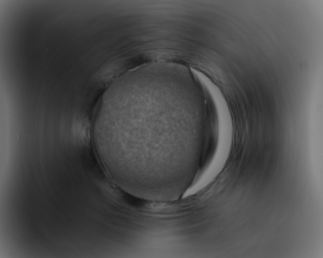 X0000093150766200710101135