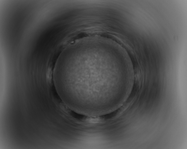 X0000093150767200710101135