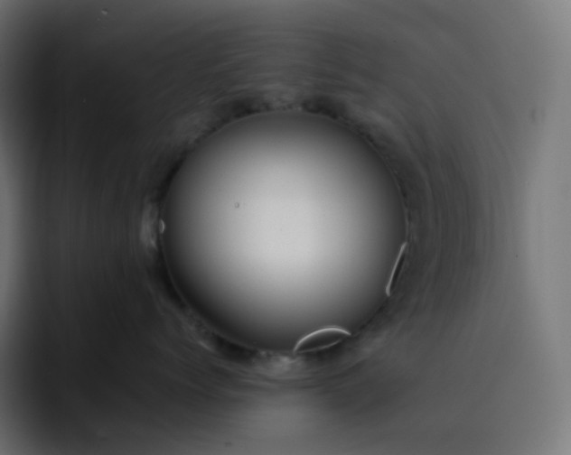X0000093150768200710101135