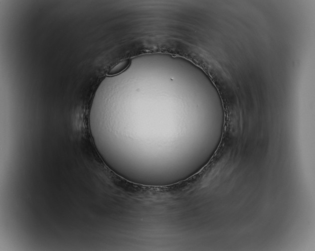 X0000093150770200710101135