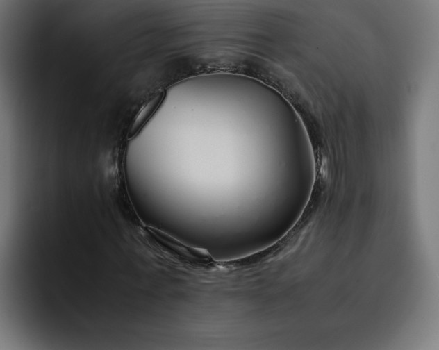 X0000093150771200710101135