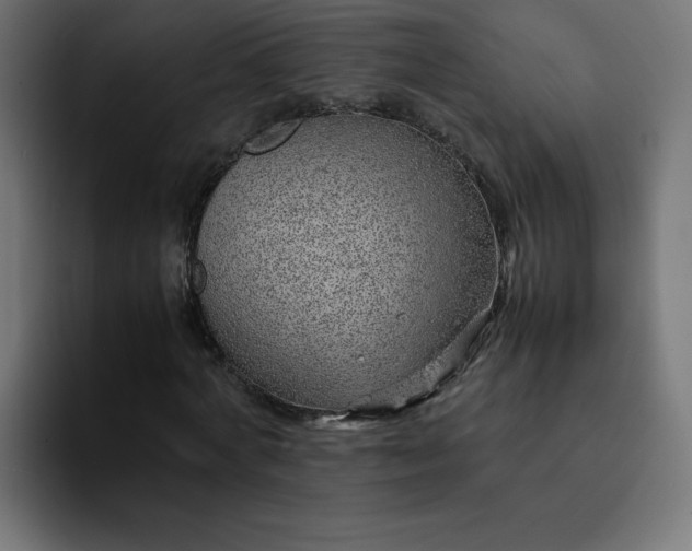 X0000093150772200710101135