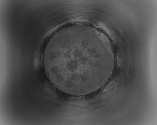 X0000093150775200710101135