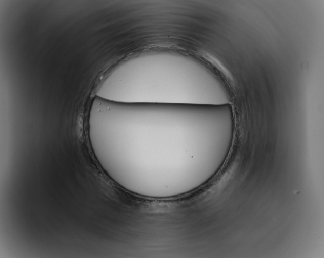 X0000093150777200710101135