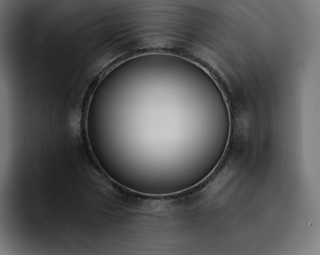 X0000093150778200710101135