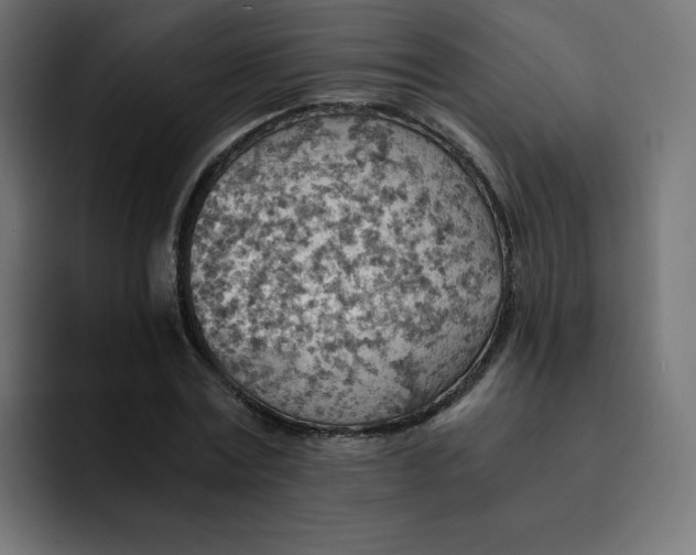 X0000093150779200710101135